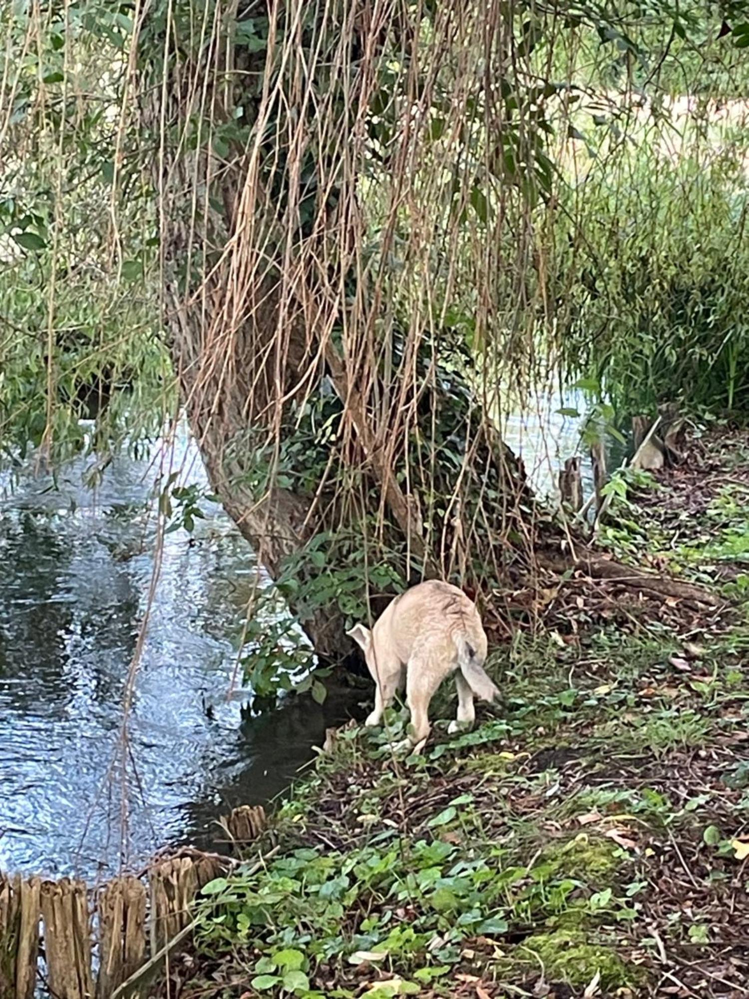 Pieds Dans L Epte Pret De Giverny Gasny