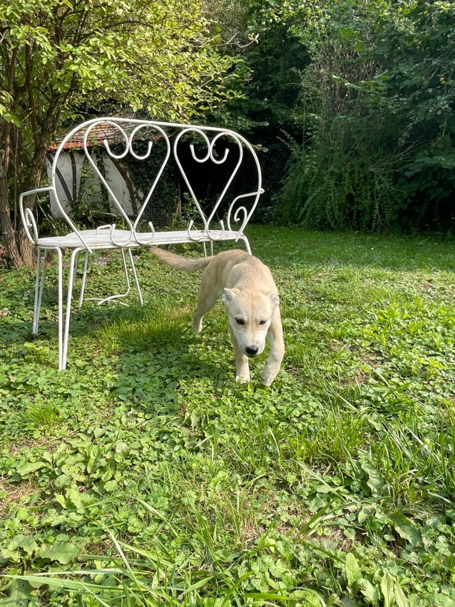 Apartment Pieds Dans L Epte Pret De Giverny Gasny